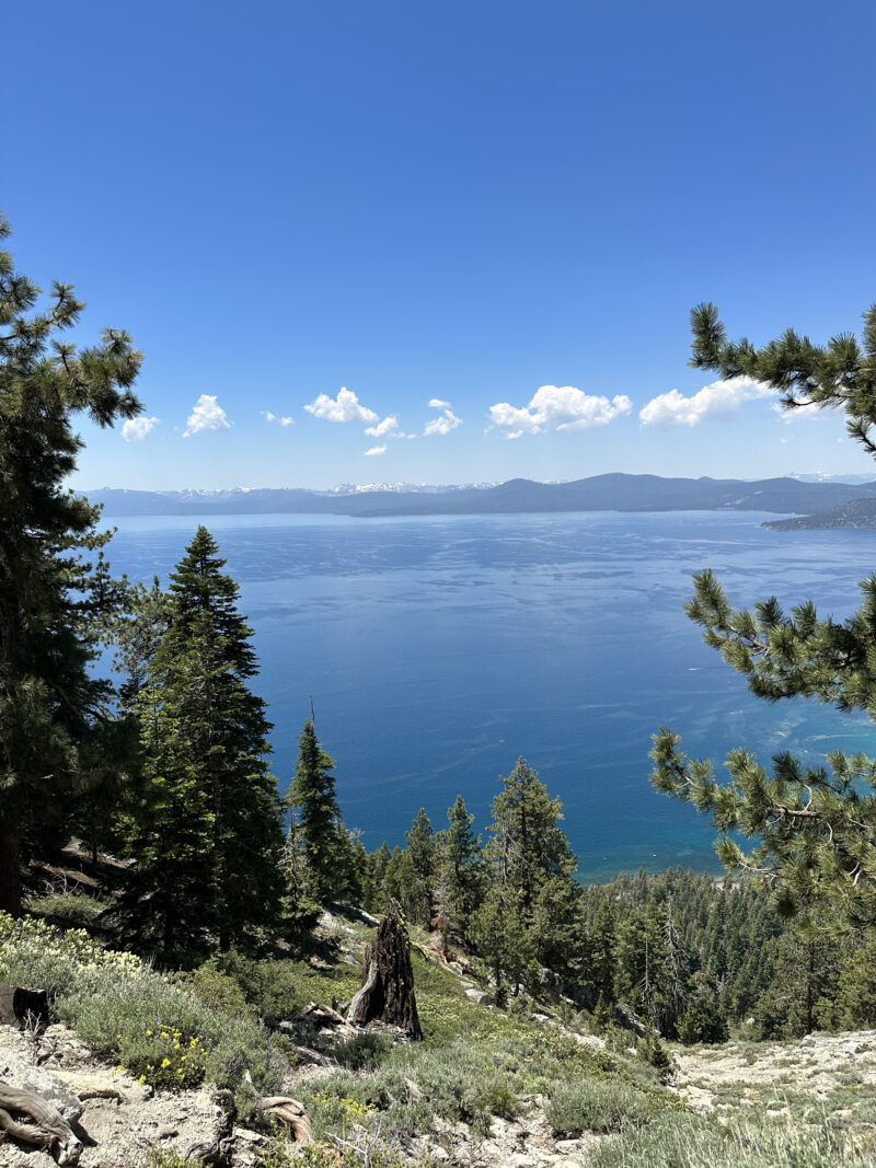 tahoe-restaurants-tahoe-good-times